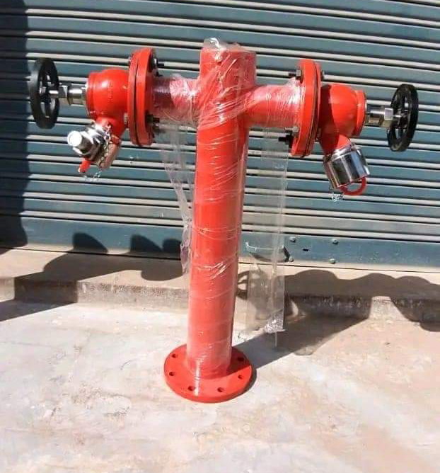 FB_IMG_1686312517609